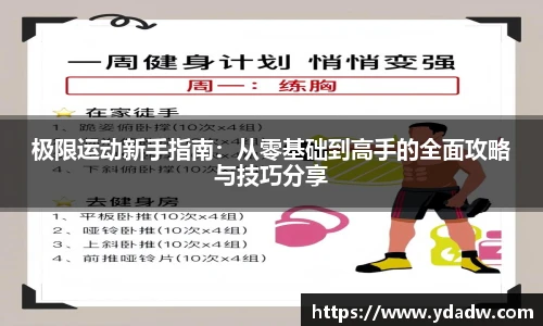 极限运动新手指南：从零基础到高手的全面攻略与技巧分享